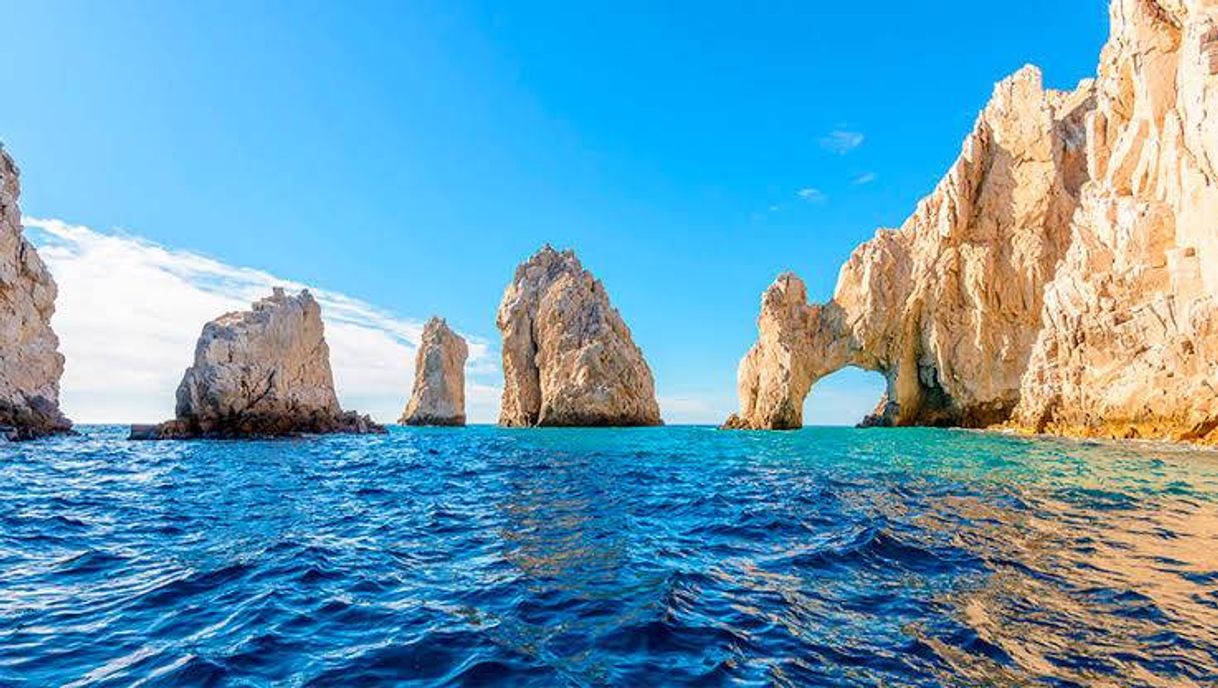 Place Los Cabos