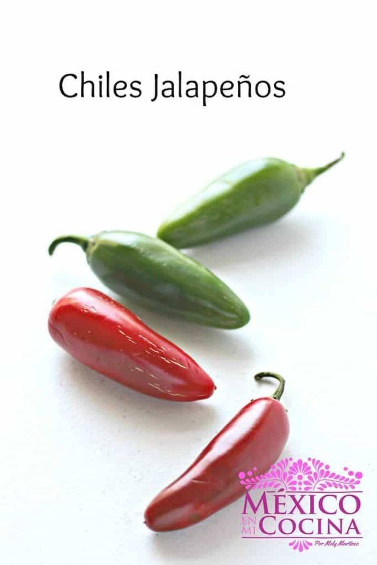 Moda Chiles jalapeños