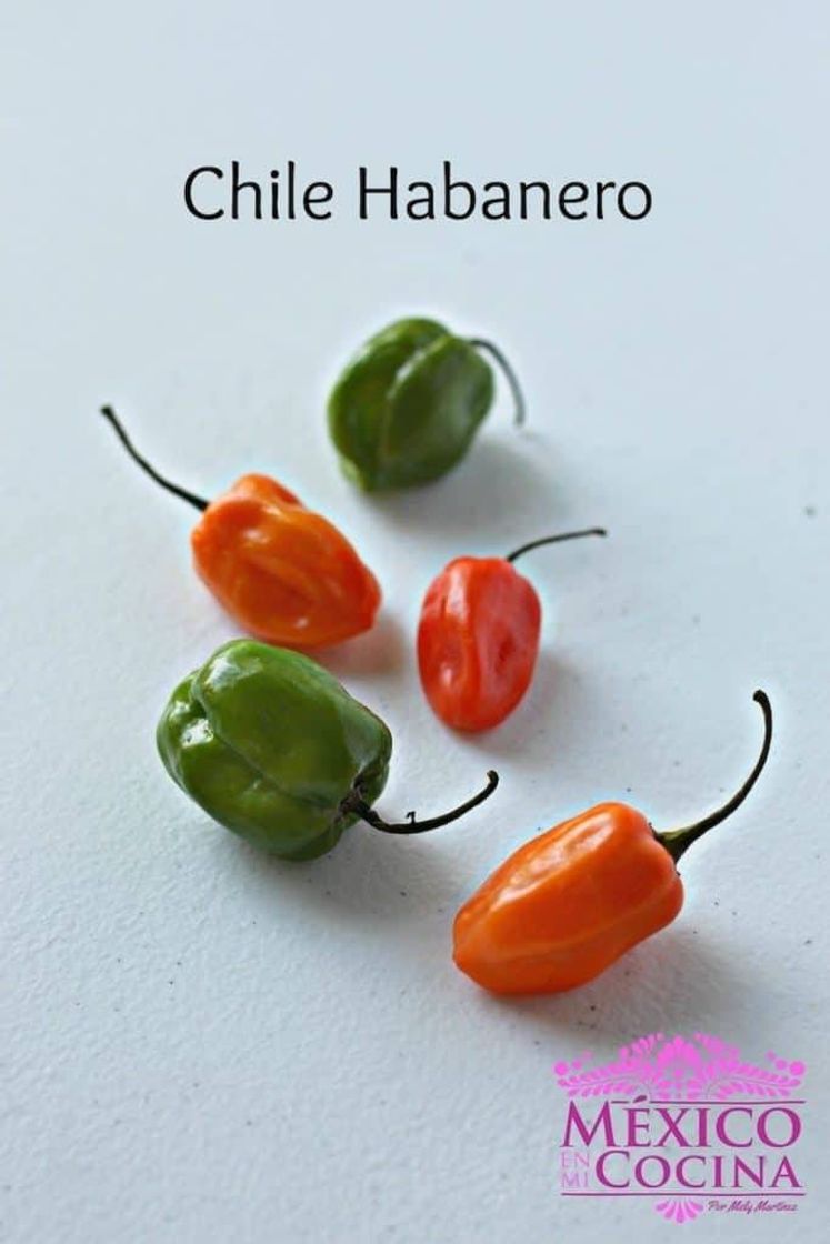 Moda Chile habanero