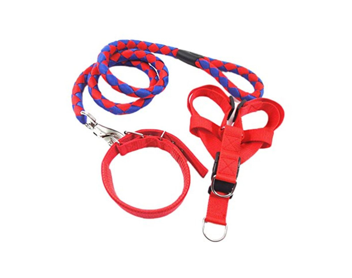 Moda Diyafas Nylon Tejido Perro Correa Collar Arnés de Pecho 3 Set Entrenamiento de Mascotas Correas Perros Pequeños Medianos y Grandes