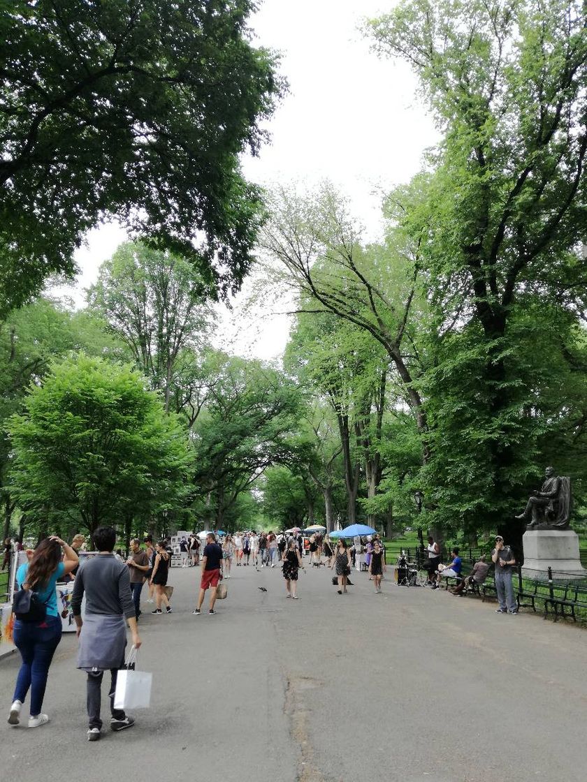 Place Central Park