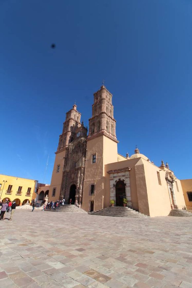 Place San Miguel de Allende