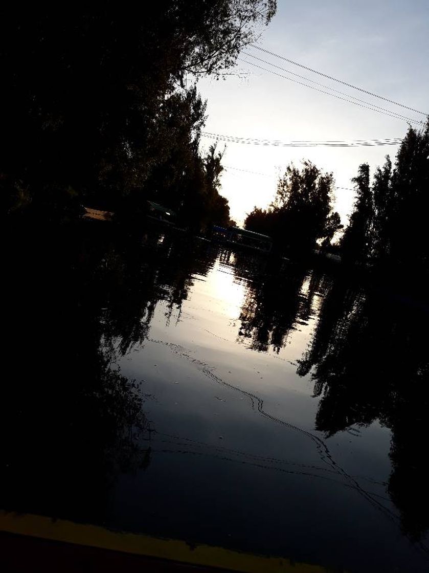Place Trajineras Xochimilco CDMX (Embarcadero Las Flores Nativitas)