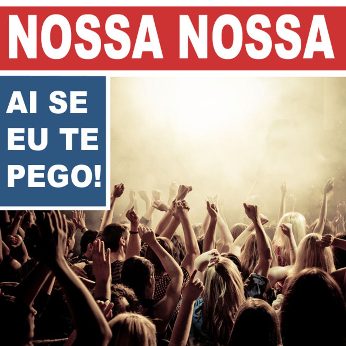 Music Nossa Nossa (Ai Se Eu Te Pego) - Single Version