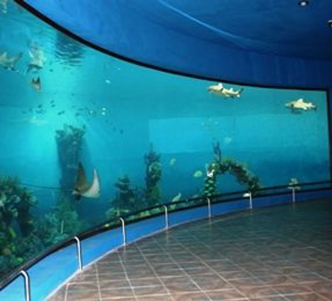 Lugar Acuario Mazatlán