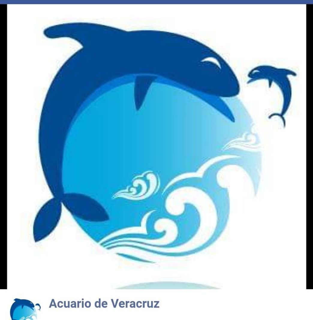 Place Acuario de Veracruz