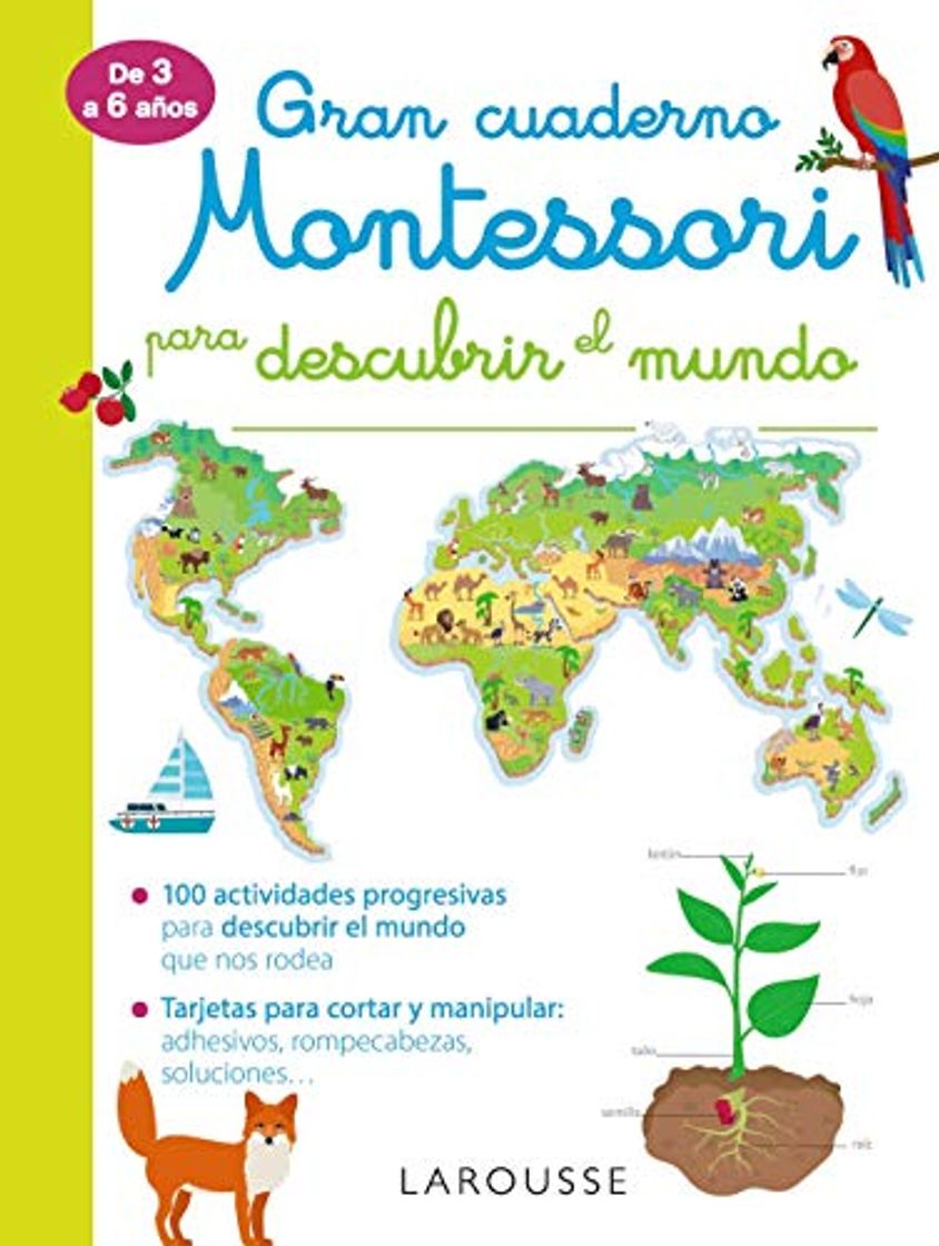 Book Gran cuaderno Montessori para descubrir el mundo