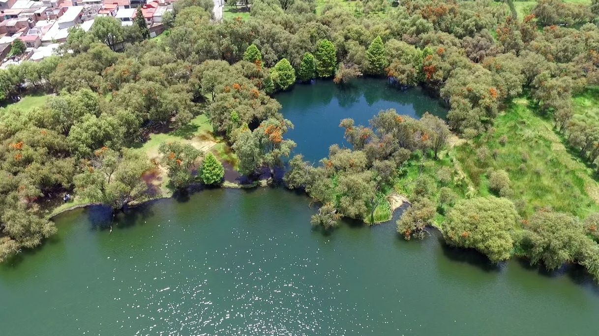 Lugares Laguna De Zacapu