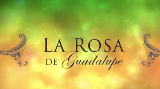 La rosa de Guadalupe