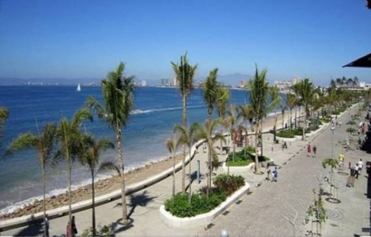 Lugar Puerto Vallarta