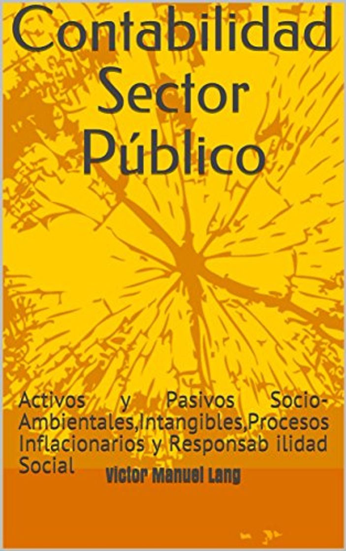 Books Contabilidad Sector Público: Activos y Pasivos Socio