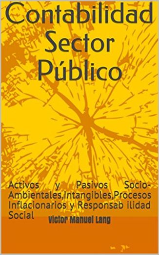 Contabilidad Sector Público: Activos y Pasivos Socio