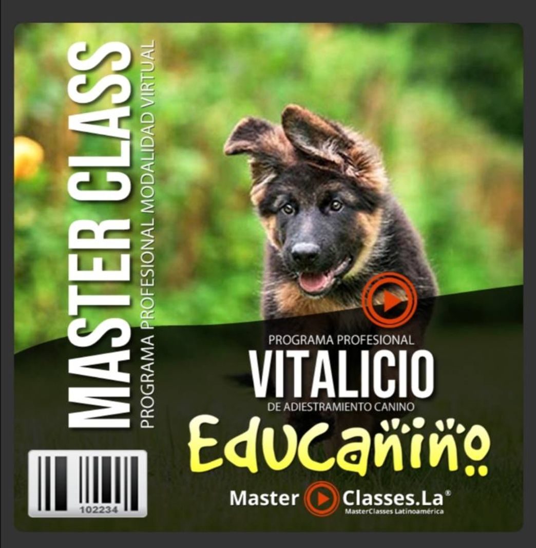 Moda Curso virtual de adiestramiento canino.