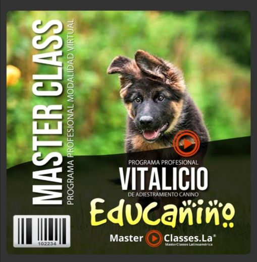 Curso virtual de adiestramiento canino.