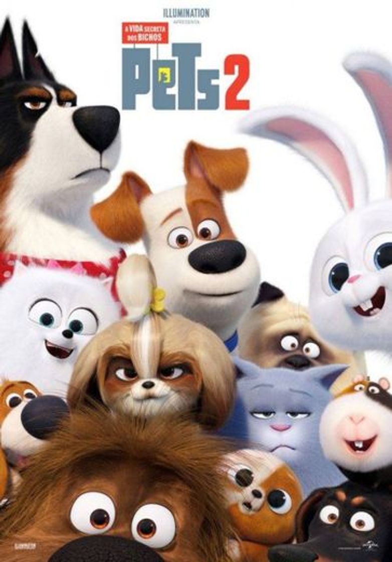 Películas  Pets - A Vida Secreta dos Bichos 2 