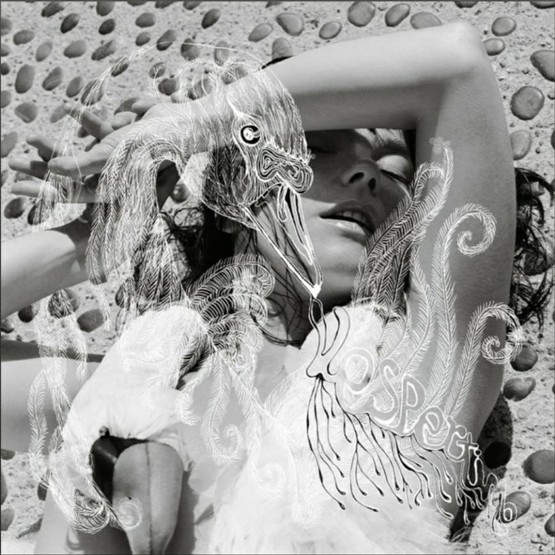 Vespertine | Björk