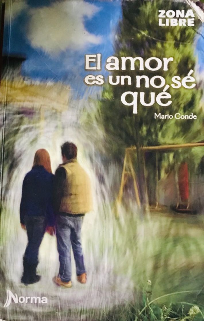 Books El amor es un no sé qué