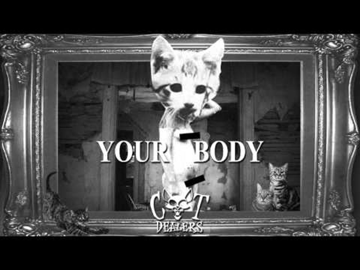 Canción Cat Dealers - Your Body (Remix) - YouTube