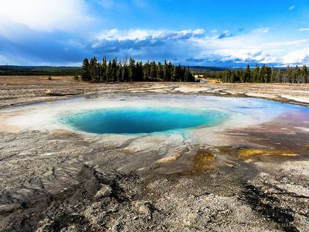 Lugar Parque Nacional Yellowstone