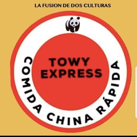 TOWY Express