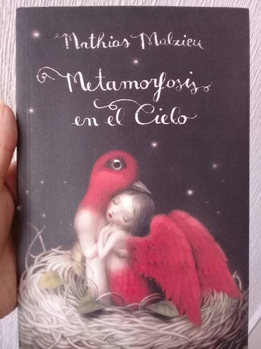 Libro Metamorfosis en el cielo