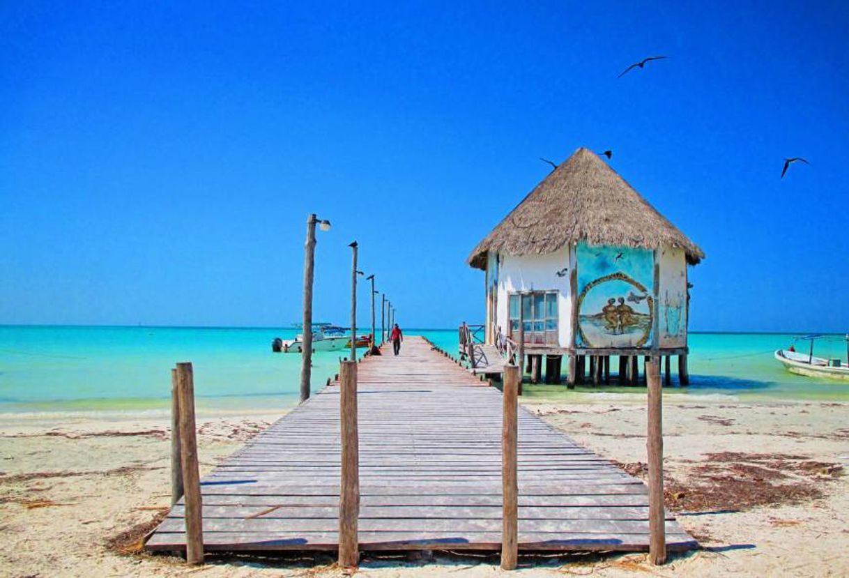 Lugar Isla de Holbox