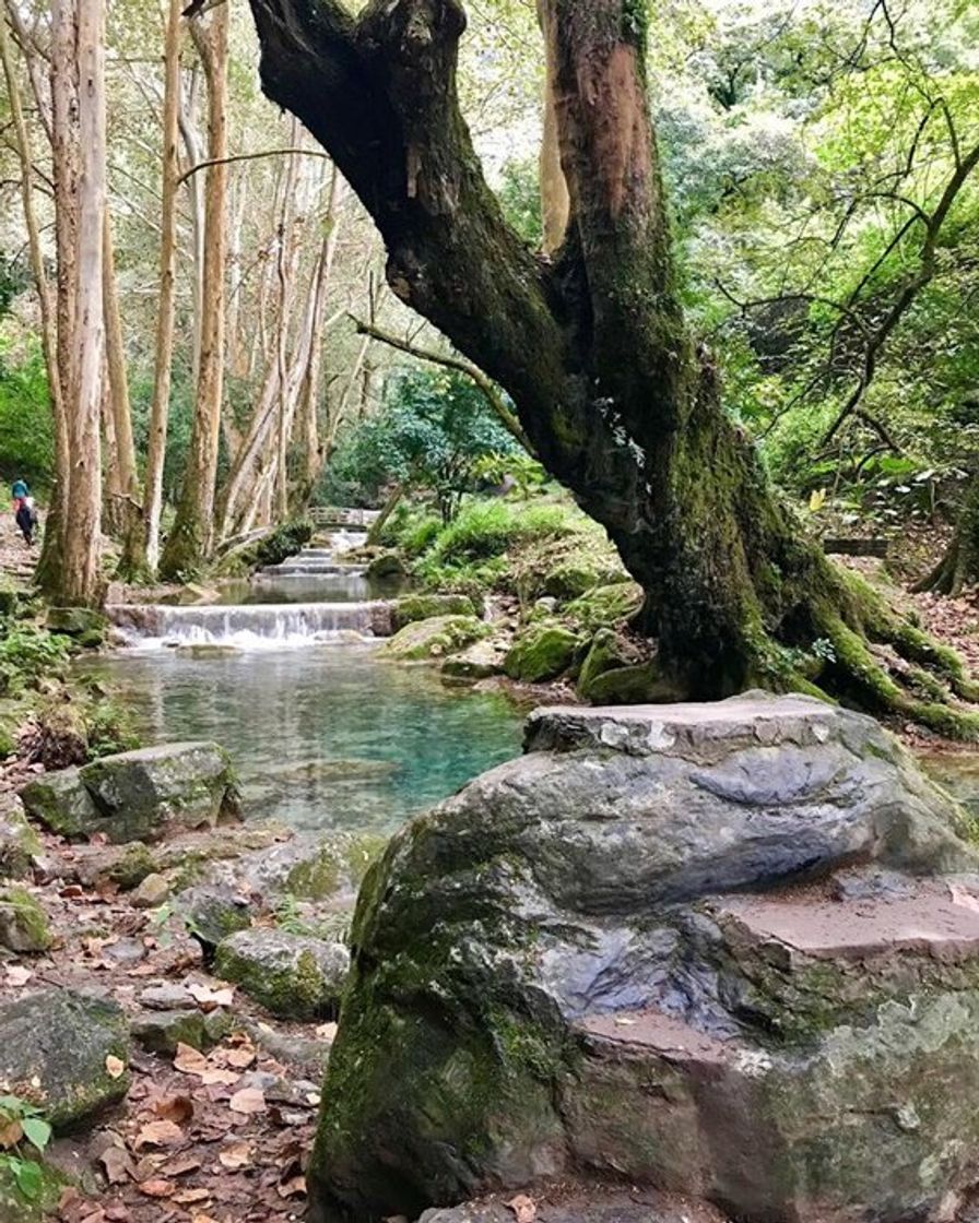 Lugar Sierra Gorda