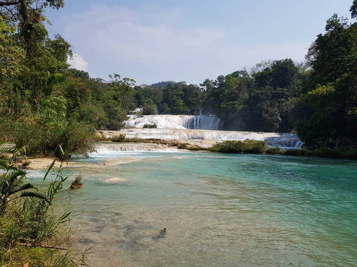 Place Cascadas de Agua Azul