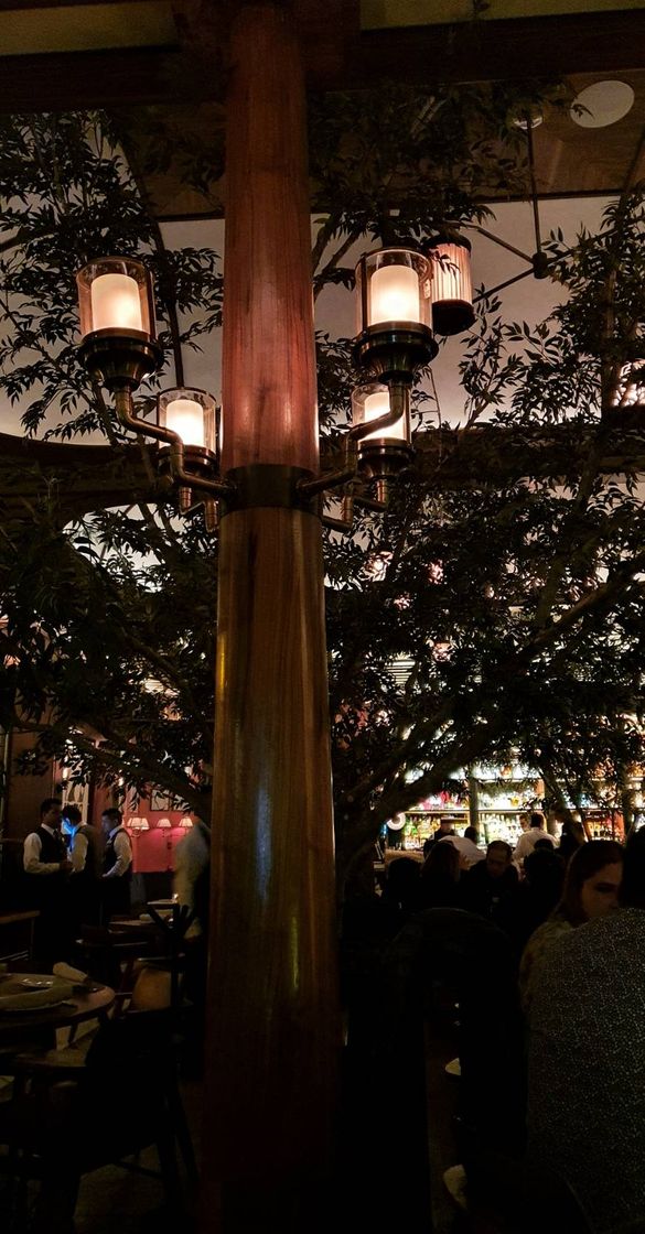 Restaurants Sylvestre Artz