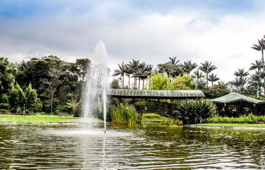 Jardim Botânico de Bogotá