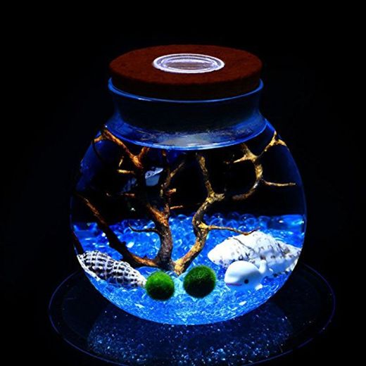 newdreamworld azul Marimo Acuario Kit con ORB jarra de cristal