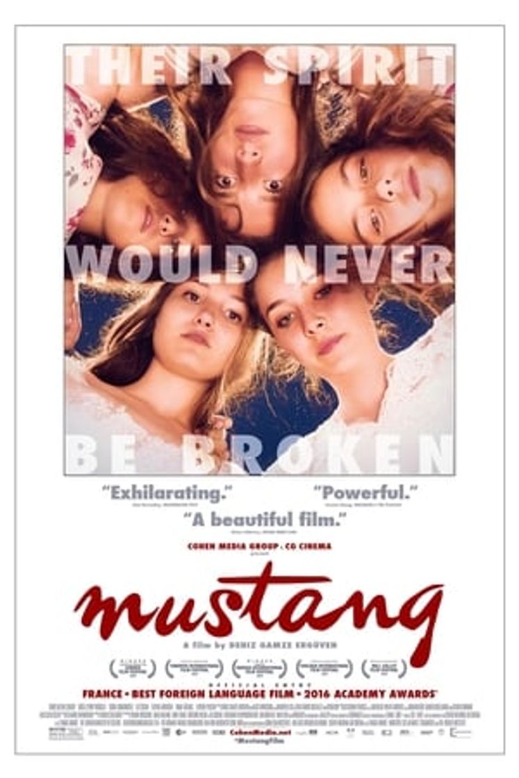 Movie Mustang