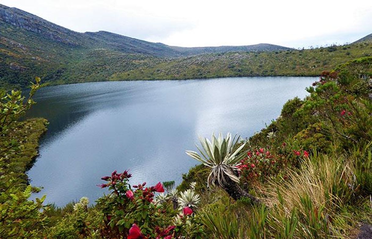 Place Parque Nacional Natural Chingaza - Punto de Atención Piedras Gordas