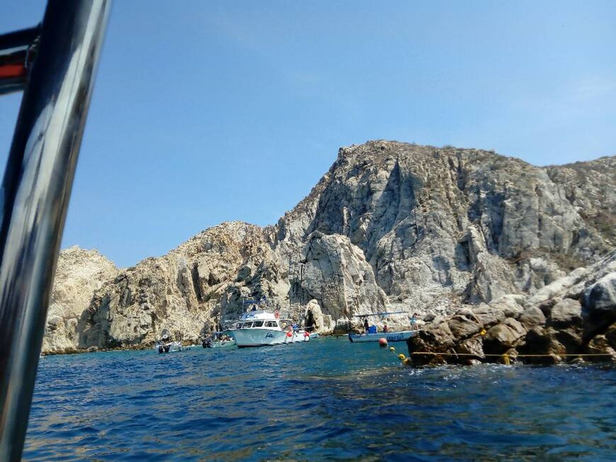 Place Los Cabos