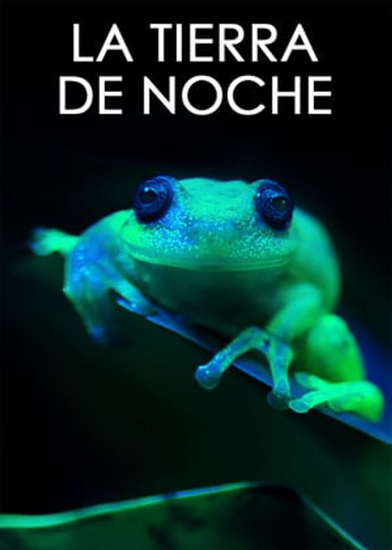 La Tierra de noche