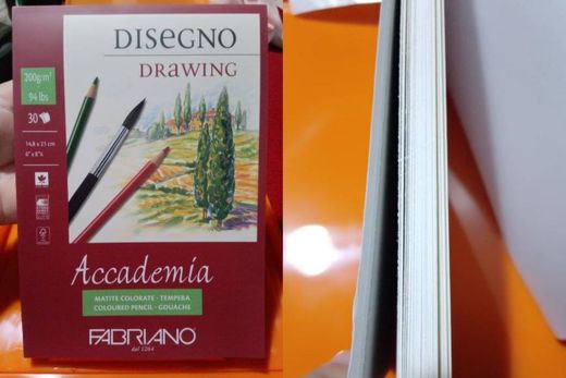 Disegno Drawing Academia
