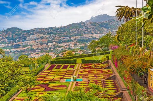 Jardín Botánico de Madeira