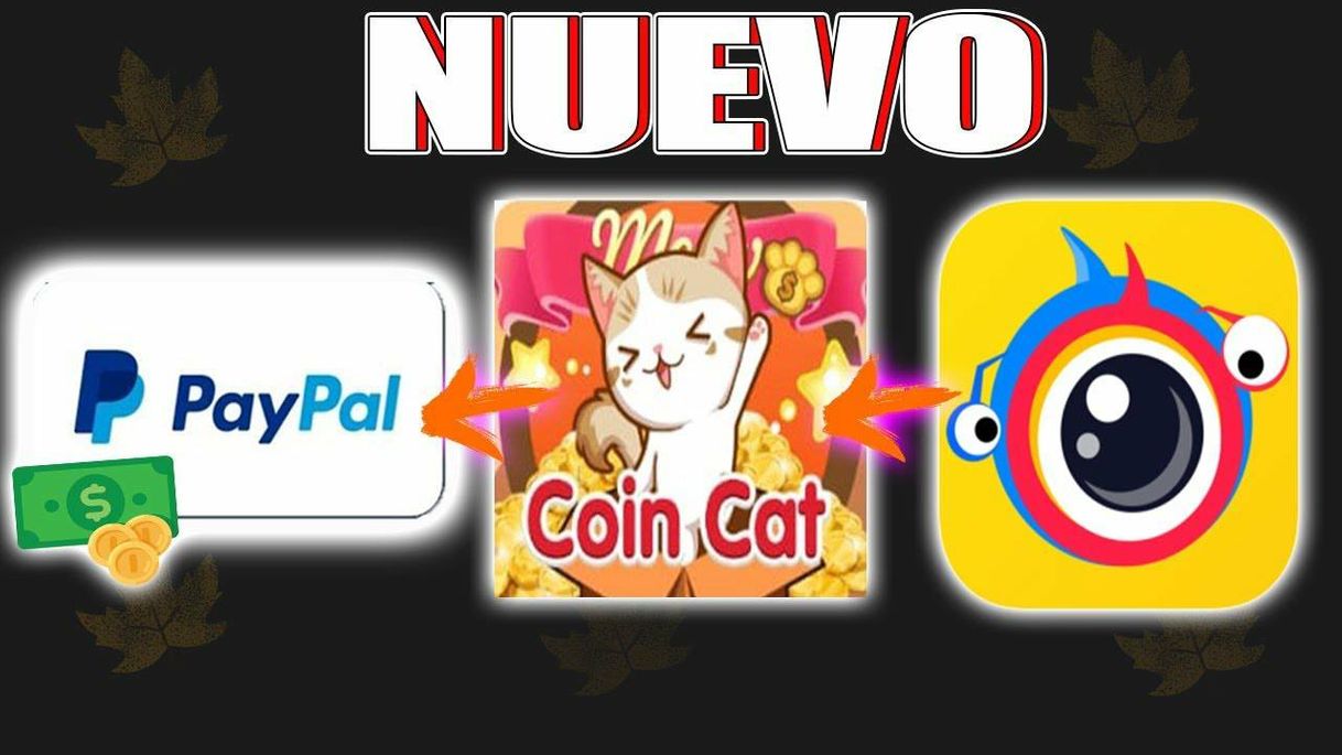 Fashion Vender gato nivel 37 clap coins