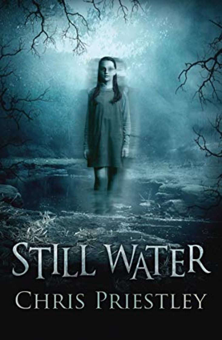 Libro Priestley, C: Still Water