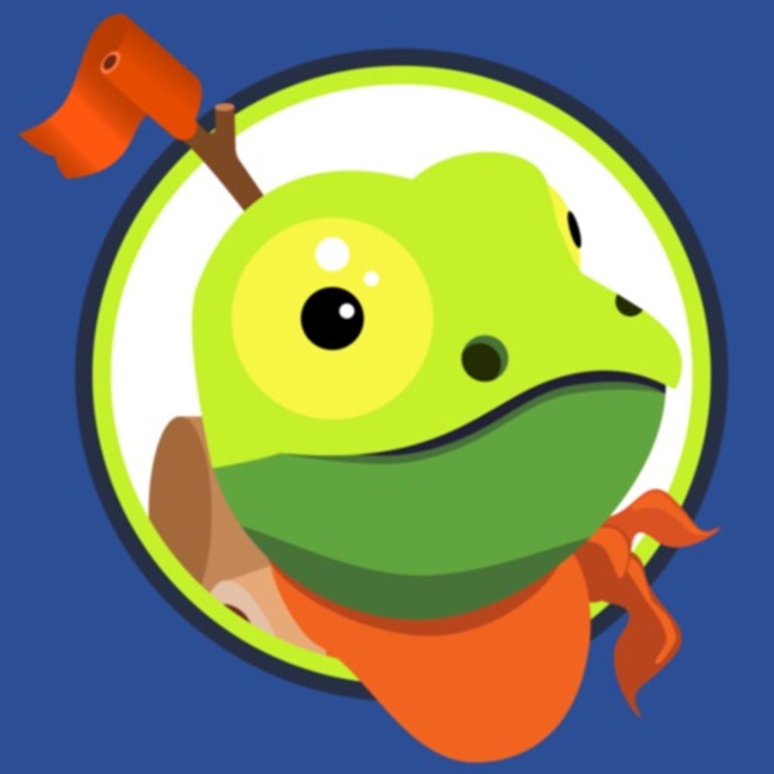 App Shadow Frog