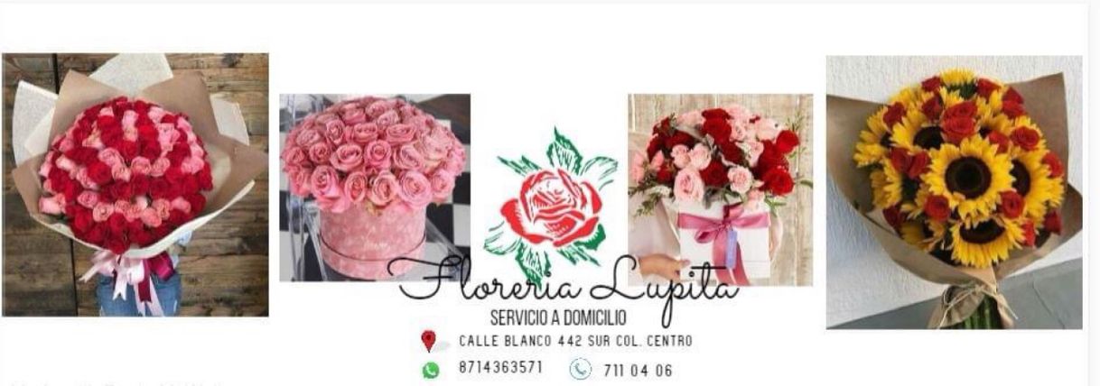 Place Floreria Lupita