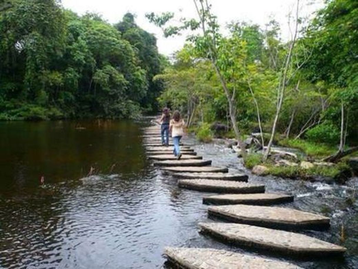 Lugar A el Parque la Llovizna