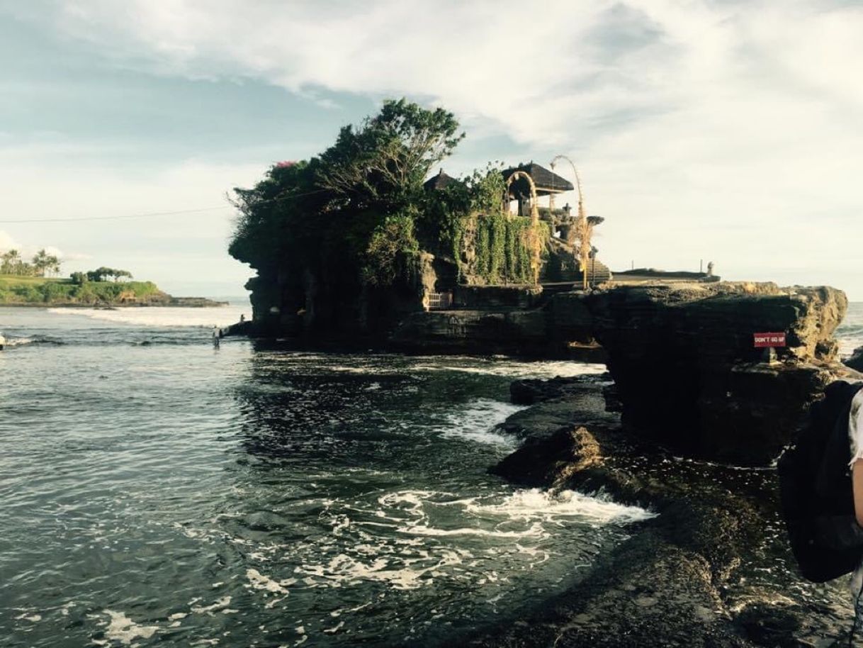 Tegallalang Rice Terrace
