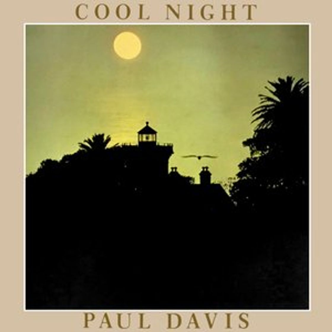 Canciones Cool Night