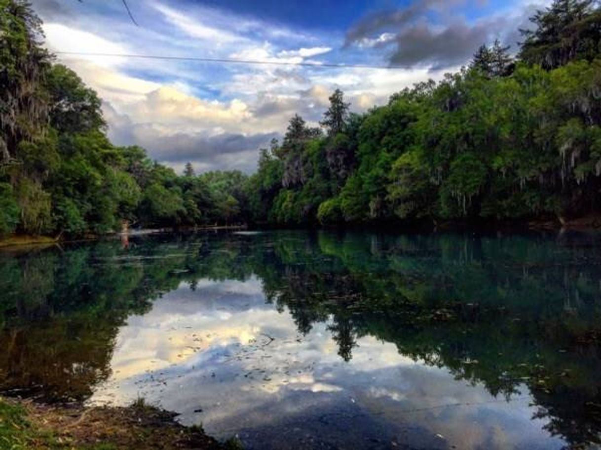 Lugar El Bosque de las Truchas