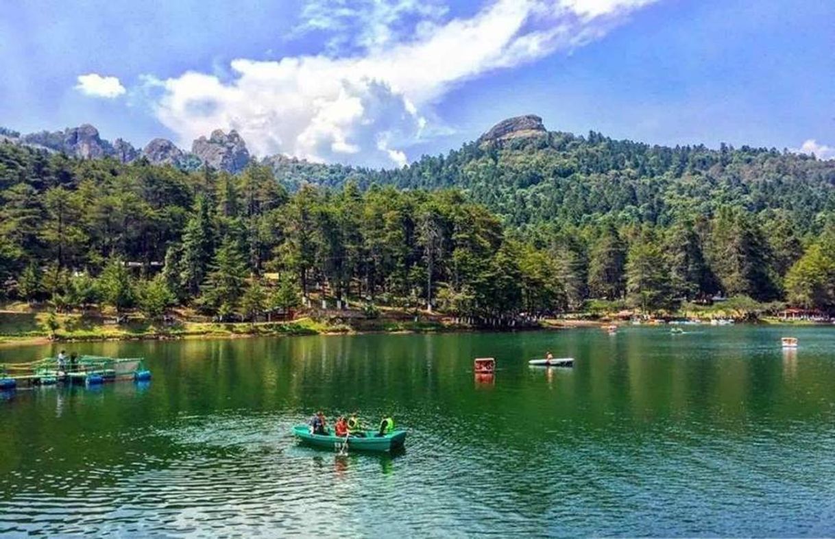 Lugar Parque Nacional El Chico