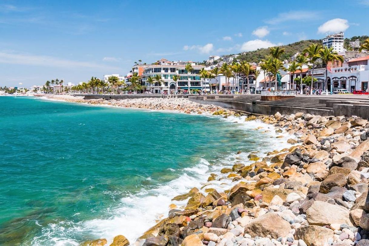 Lugar Malecón Puerto Vallarta