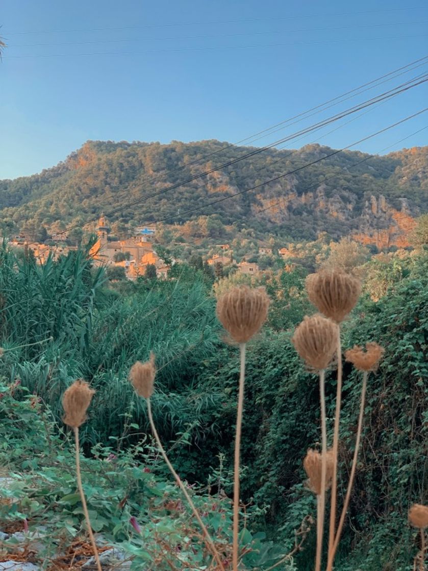 Lugar Valldemosa