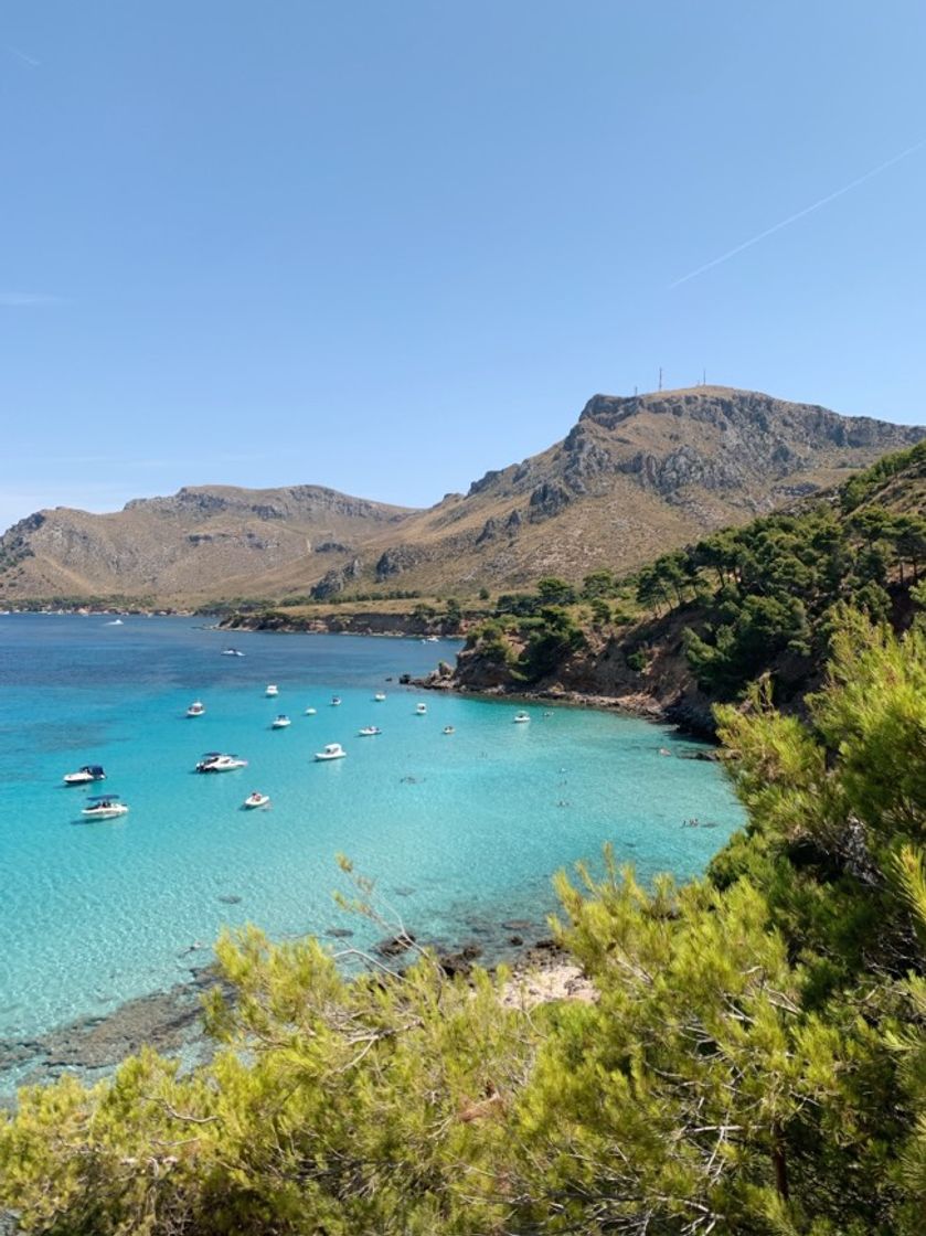 Lugar Mallorca