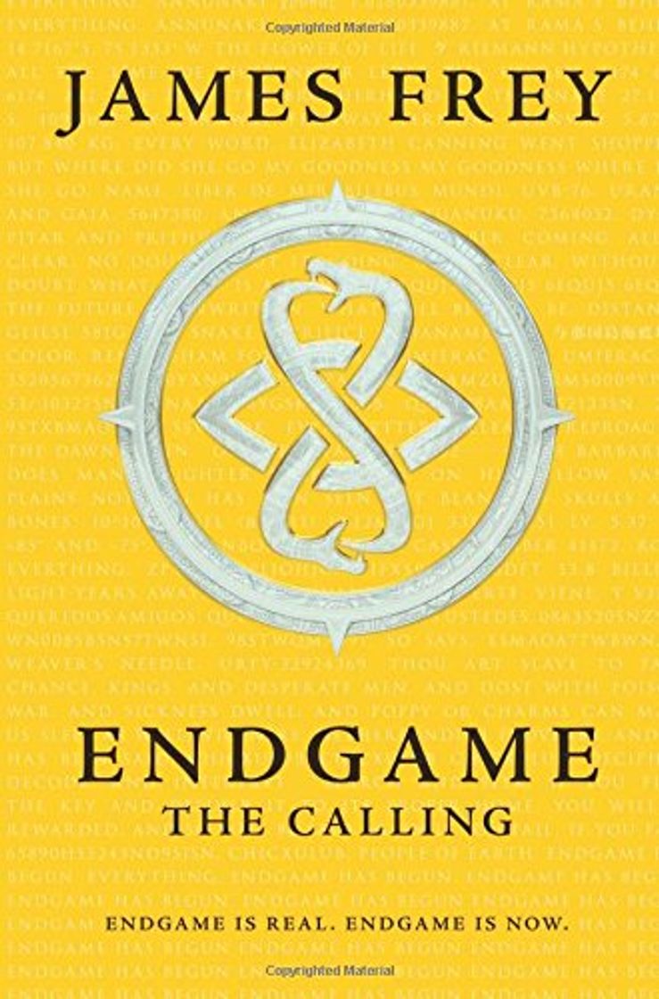 Book Endgame 1